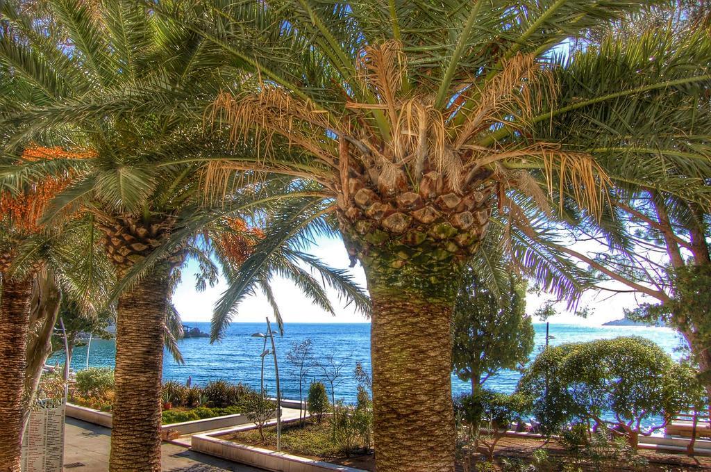 Petrovac Vasiliki Seaside Apartments מראה חיצוני תמונה
